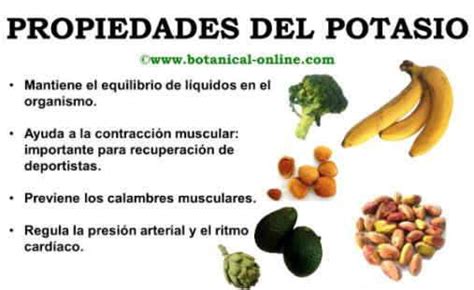 Potasio En El Cuerpo