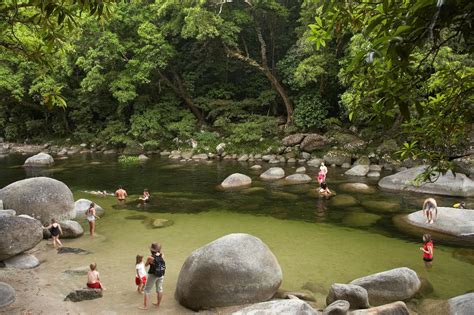 Mossman Gorge Ex Port Douglas Shuttle Port Douglas Travel Planner