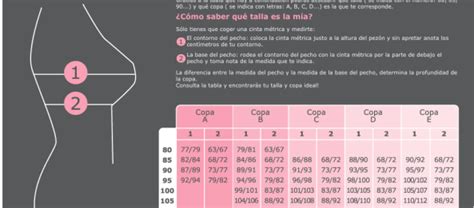 Venta Diferencias De Las Copas De Los Sujetadores En Stock