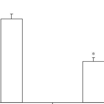 Effects of intraperitoneal injection of WAY 100635 (1 mg/kg) on total ...