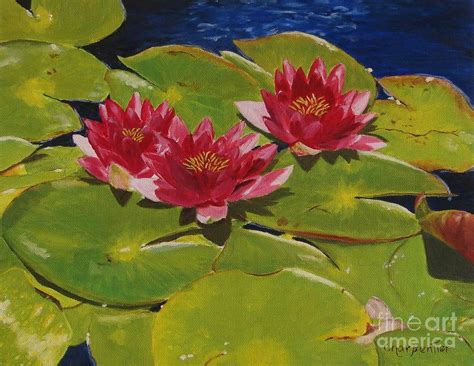 Water Lilies Painting By Marilyn Charpentier Fine Art America