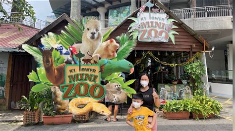 Mini Zoo In Kuala Lumpur Kl Tower Mini Zoo 2022 Youtube