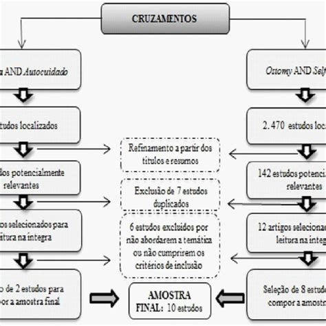 Fluxograma Das Etapas Metodológicas Da Revisão Integrativa Natal Rn