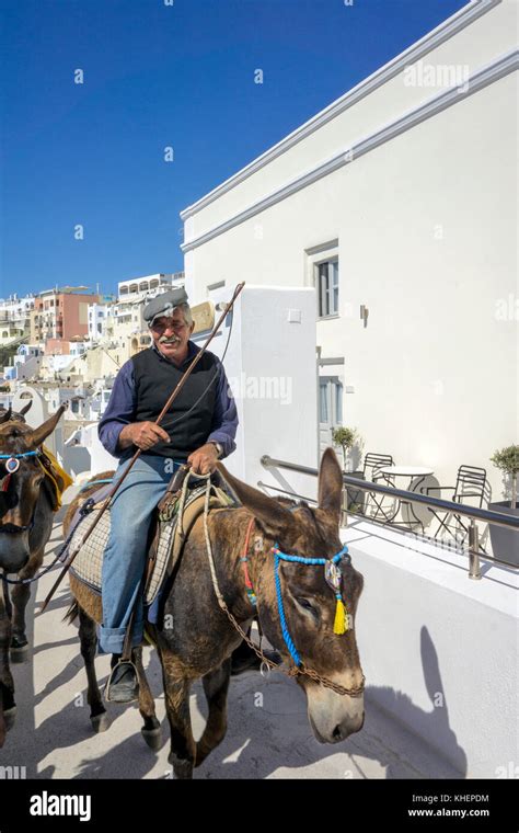 Local Greek On A Donkey Alley At Thira Santorin Island Cyclades