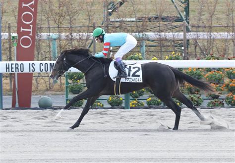 【京都4r・2歳新馬】武豊騎手騎乗のヤマニンバロネスが8馬身差圧勝「強いわ」鞍上も絶賛 ライブドアニュース