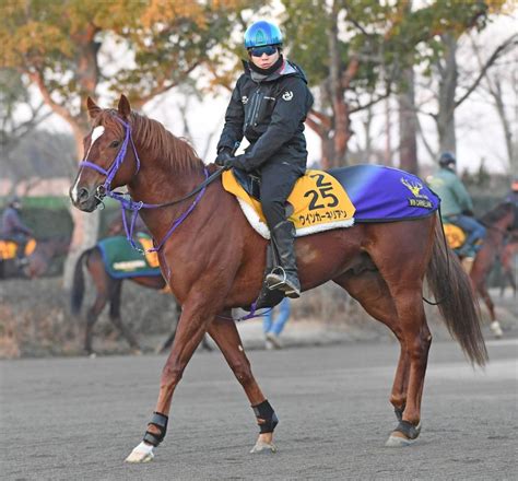 ウインカーネリアンなどが予備登録 豪州でのザ・チャンピオンシップス競馬・レースデイリースポーツ Online