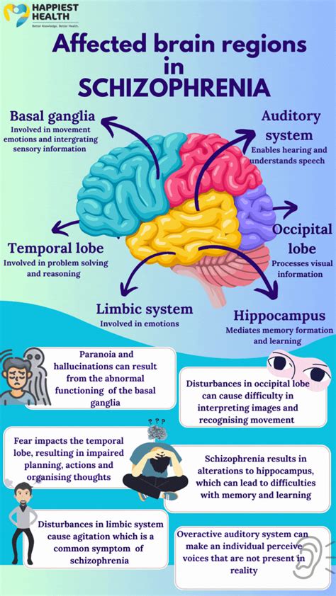 Affected Brain Regions In Schizophrenia Happiest Health