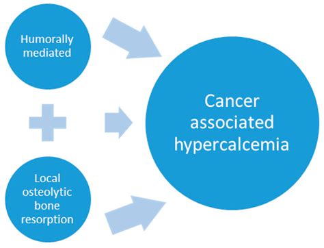 Life Expectancy Of Stage 4 Emphysema