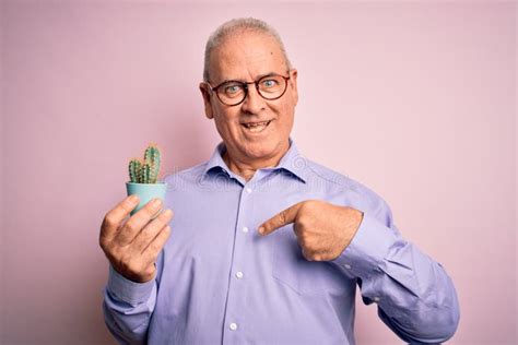 Hombre Apuesto De Mediana Edad Que Sostiene La Olla De Una Planta De