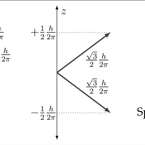 1 Spatial Quantization Of Spin Angular Momentum For A S 1 2 Particle