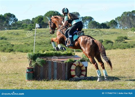 Eventing Team On Cross Country Track Stock Photo Image Of Horse