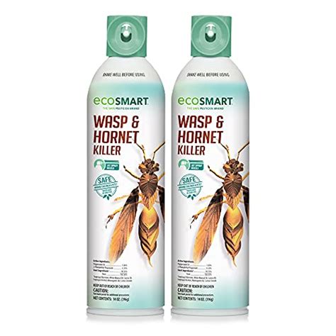 Hornet Nest Problems Here Are The Most Effective Sprays