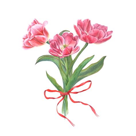 ramo de flores de floreciente rosado tulipanes decorado rojo arco