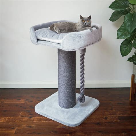 The Importance Of Choosing The Right Size Elevated Cat Bed