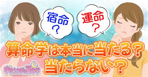 【宿命と運命？】算命学は本当に当たる？当たらない？その理由は？ ゆきうさぎの算命学