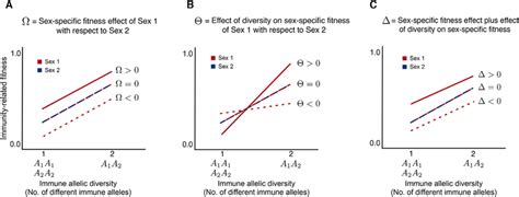 Schematic Representation Of Different Scenarios Of Sex Specific