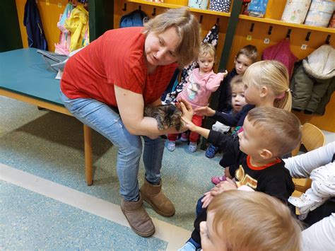 Tierischer Besuch Kindertagesst Tte Stadt Hollfeld