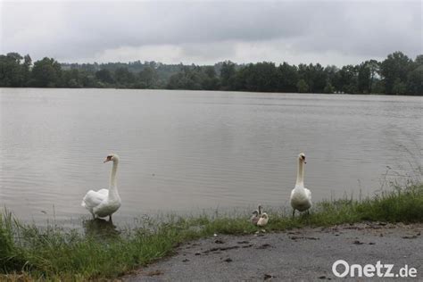 Hochwasser Im Landkreis Freising Pegel Der Amper Erreicht Allzeithoch