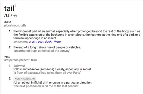 tail  dictionary definition rtailsfromretail