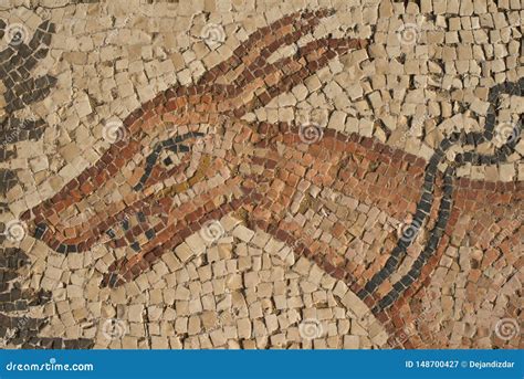 Ancient Animal Pattern Mosaic 4 Stock Image - Image of archaeology ...