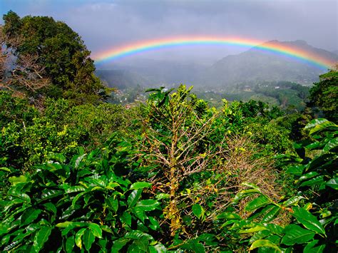 Los mejores hoteles 5 estrellas en Panamá | Despegar