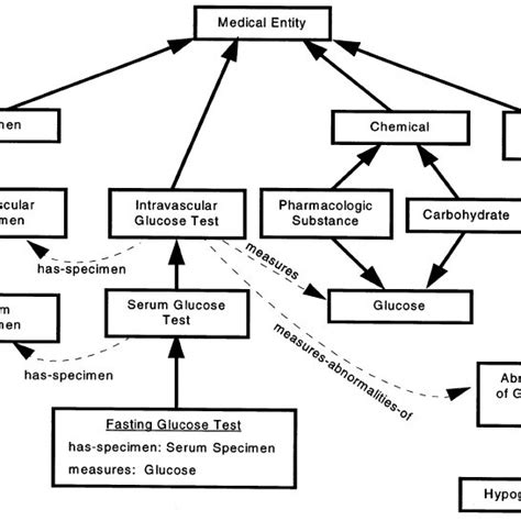 Shows A Simplified View Of Relationships Among Concepts In The Med Download Scientific Diagram