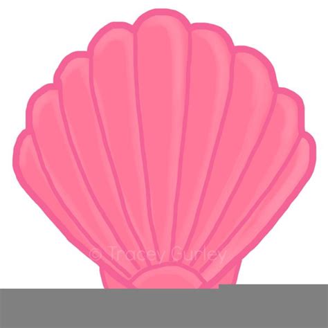 Sea Shells Clipart Free | Free Images at Clker.com - vector clip art ...