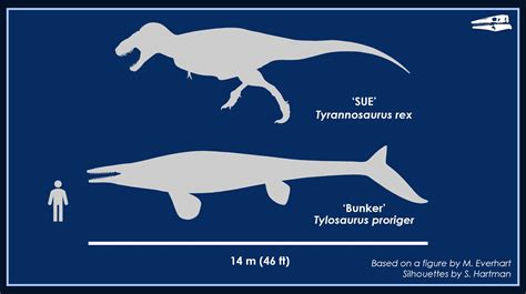 Tylosaurus Size