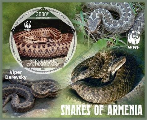 Stamps Fauna Animals Wwf Armenia Snakes 11 Sheets Perforated 2022