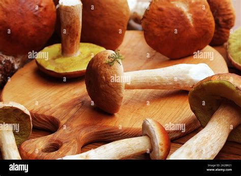 Fresh Mushroom Boletus Edulis On Cutting Board Stock Photo Alamy