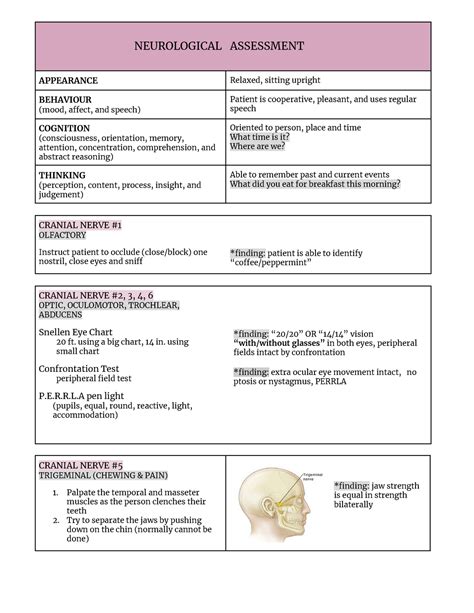 Neurological Examination Template Prntbl Concejomunicipaldechinu Gov Co