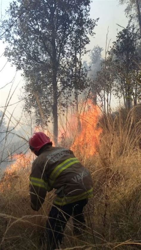 Incendios Forestales Dañaron Más De 379 Mil Hectáreas