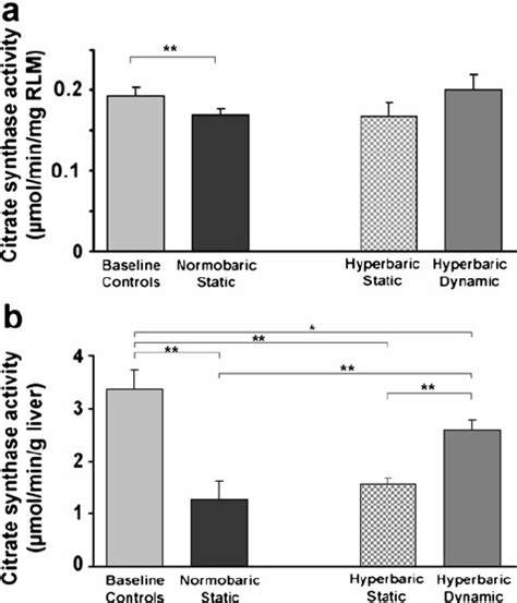 Assay Of The Citrate Synthase Activity The Citrate Synthase Activity