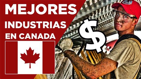 Las 10 mejores industrias en las que podrías trabajar en Canadá YouTube