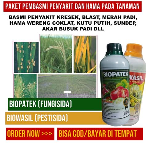 Jual Paket Pupuk Murah Biopatek Biowasil Pupuk Fungisida Dan