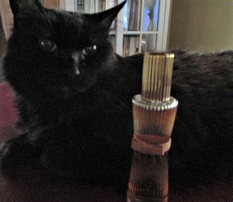 Youth Dew Amber Nude Est E Lauder Parfum Ein Es Parfum F R Frauen