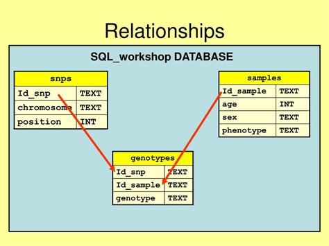 Ppt Sql Basics Powerpoint Presentation Free Download Id 1445379