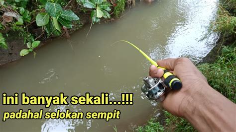 Pakai Joran Tegek Still Good Padahal Mancing Di Selokan Sempit Gak