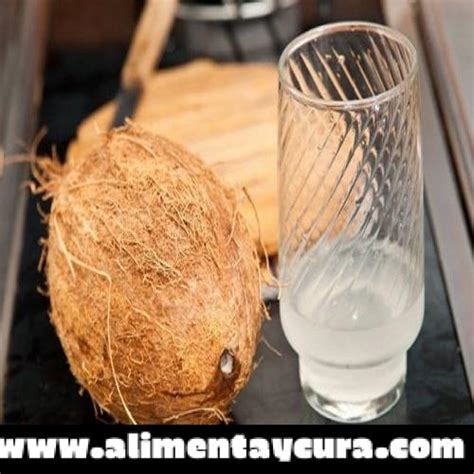 Descubre Lo Que Le Pasa A Tu Cuerpo Al Beber Agua De Coco Alimenta Y Cura