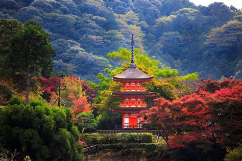 Japanese Pagoda Wallpapers Top Free Japanese Pagoda Backgrounds