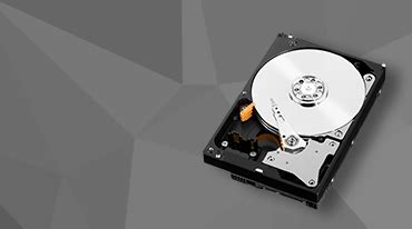 Hard Disk Drives