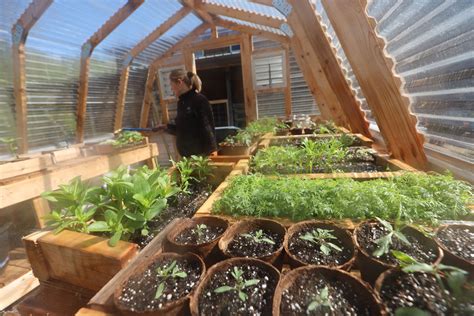 Winter Greenhouse Garden - Abundant Permaculture