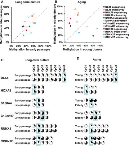 Pyrosequencing Of Differentially Methylated CpGs For Six CpG Sites