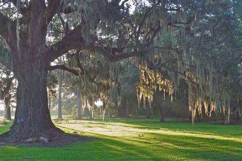 Pin On Louisiana Plantations