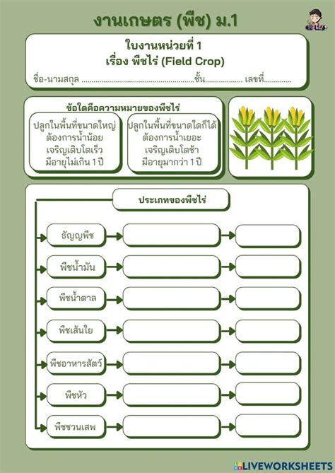 ใบงาน เรื่อง พืชไร่ ม1 Worksheet ใบไม้ สติกเกอร์