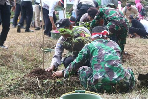 Lestarikan Kawasan Hutan Purwaharja Yonif Raider 323 Kostrad Tanam Pohon