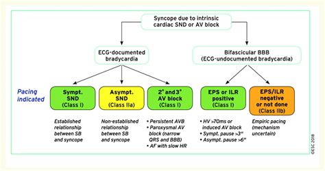 Summary of indications for pacing in patients with syncope due to ...