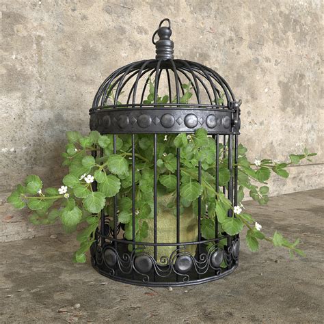 3d Model Ivy In A Bird Cage On Behance