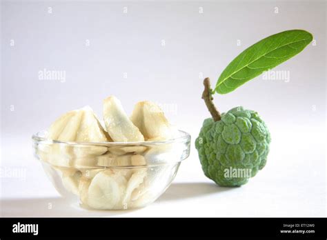 Fruit ; sharifa or sitaphal ; custard apple ; India Stock Photo - Alamy