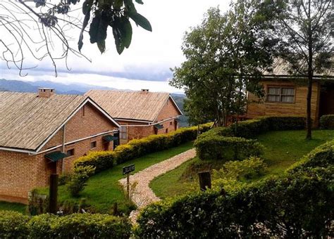 Ruhija Gorilla Safari Lodge Bwindi Gorilla Trekking Safaris